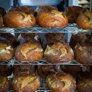 Curso de atención al cliente -agotado